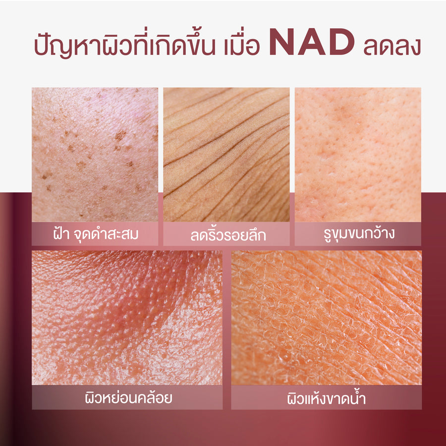 [NEW] Smooth E NAD+ Cream / Serum 30 ml. นวัตกรรมย้อนวัย REJUVENAD™